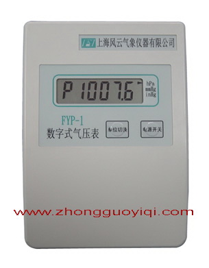 FYP-1ʽ≺